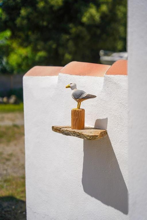 L'Ile D'Yeu, Vos Prochaines Vacances - Velos Inclus Port-Joinville Dış mekan fotoğraf